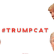 Screengrab: Kittenfeed